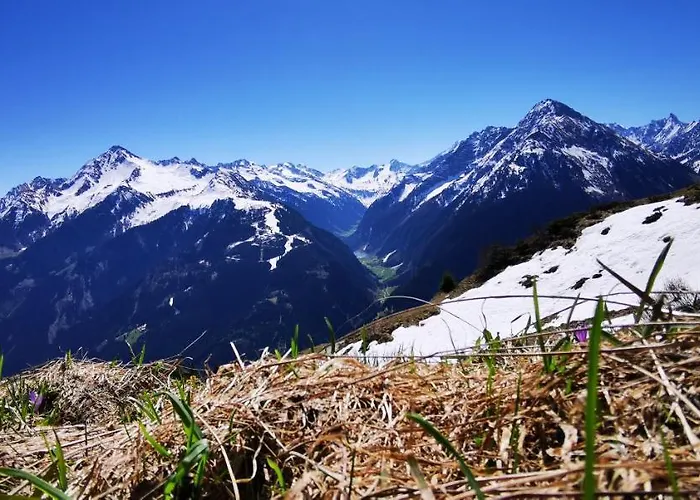 Gertraud Und Peter Geisler * 핑켄베르그