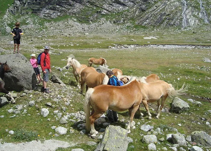 Gertraud Und Peter Geisler