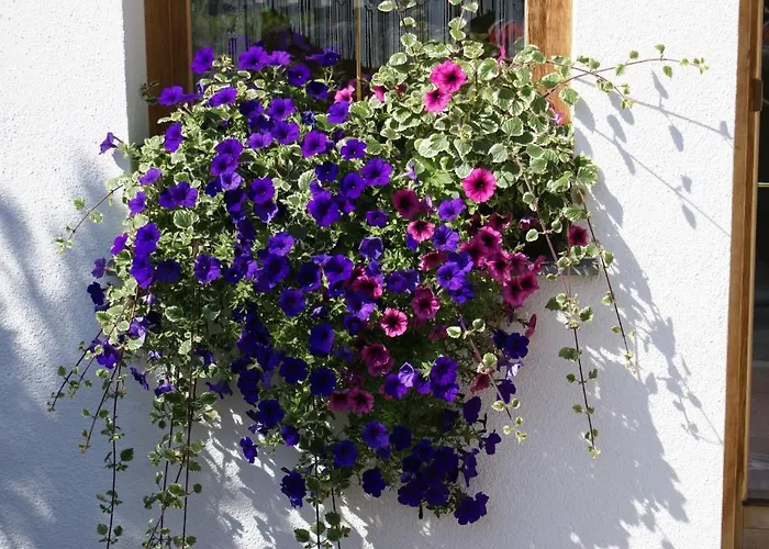 Gertraud Und Peter Geisler 아파트 핑켄베르그