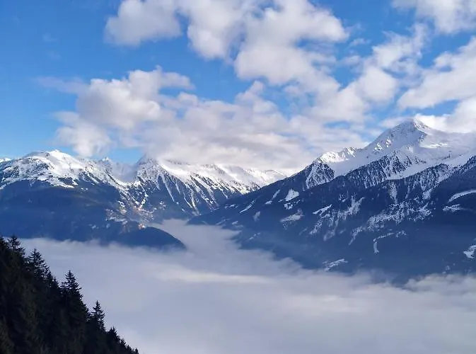 Gertraud Und Peter Geisler