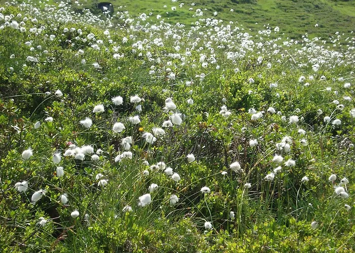 Apartmán Gertraud Und Peter Geisler *