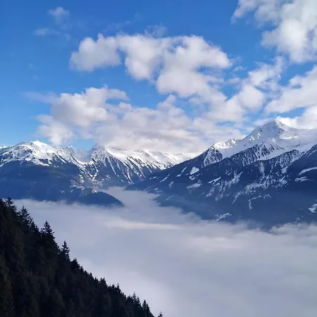 Gertraud Und Peter Geisler